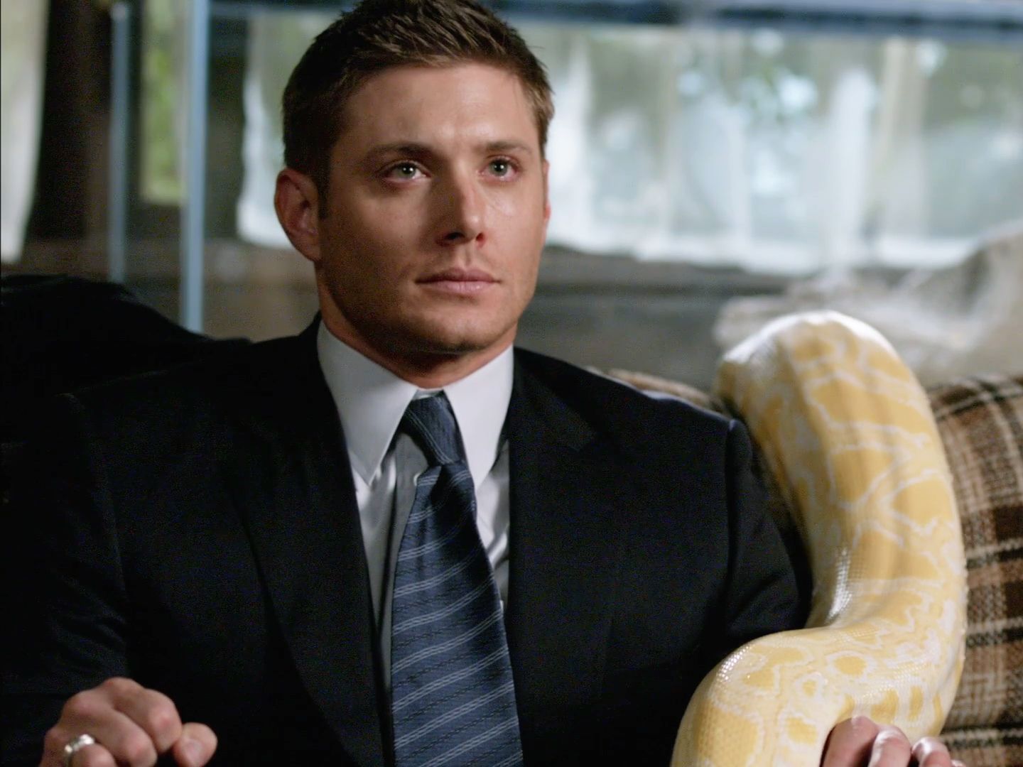 0406 怕蛇的迪恩,已老实,求放过