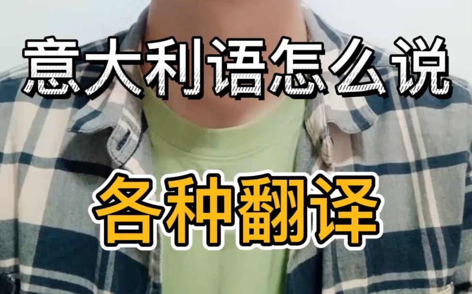 各种翻译 意大利语怎么说哔哩哔哩bilibili