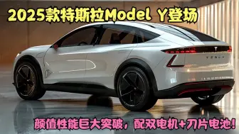 Download Video: 2025款特斯拉Model Y登场，颜值性能巨大突破，配双电机+刀片电池