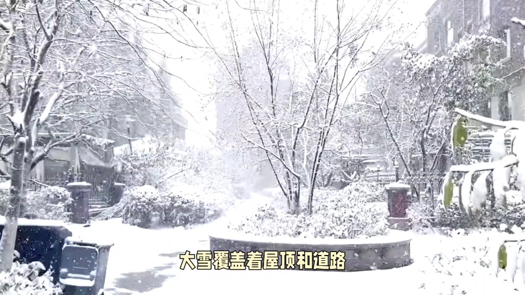 [图]东北多地暴雪来袭