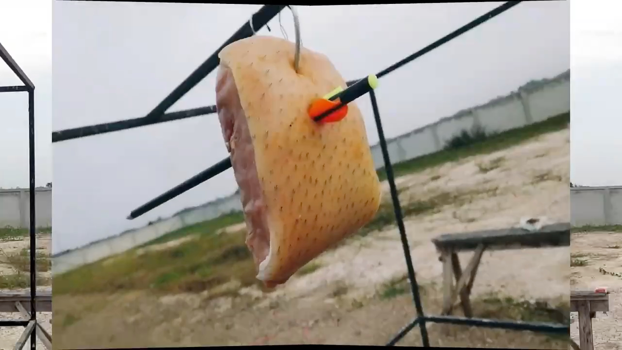 赵氏猎鹰反曲十字弓一代经典