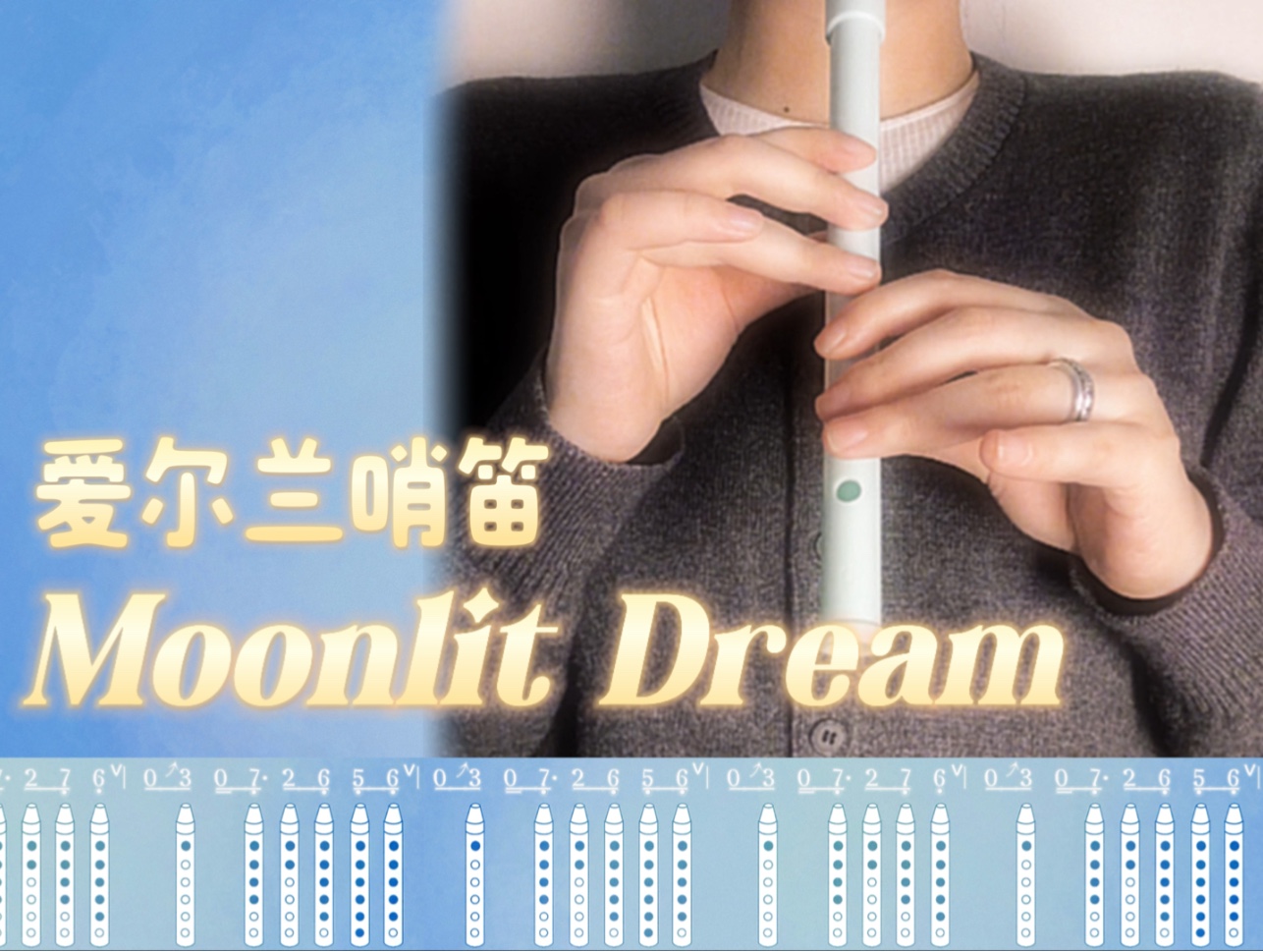 爱尔兰哨笛|“如鹅绒般的夜色弥漫”《Moonlit Dream》【附谱】哔哩哔哩bilibili