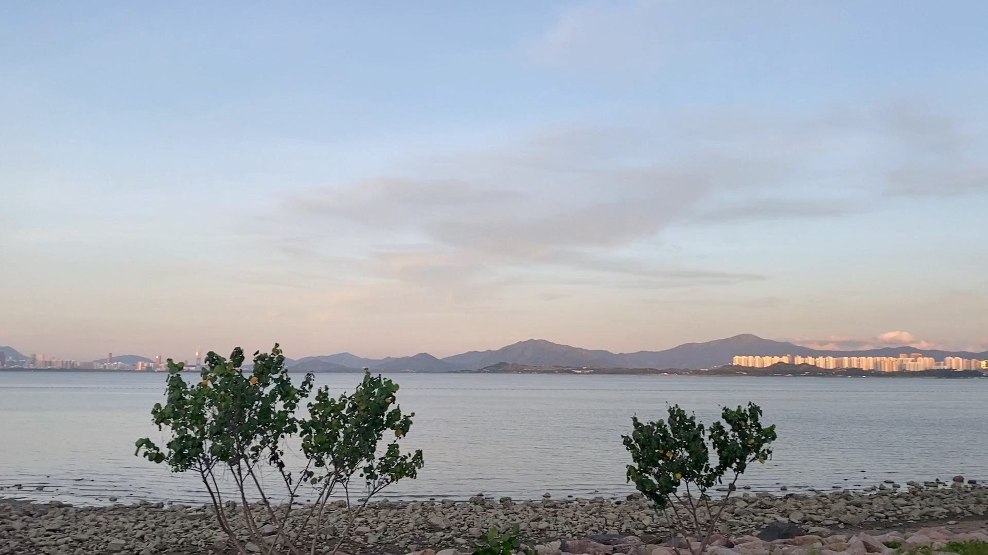 [图]日落下雾紫色的深圳湾海岸，温暖而治愈。