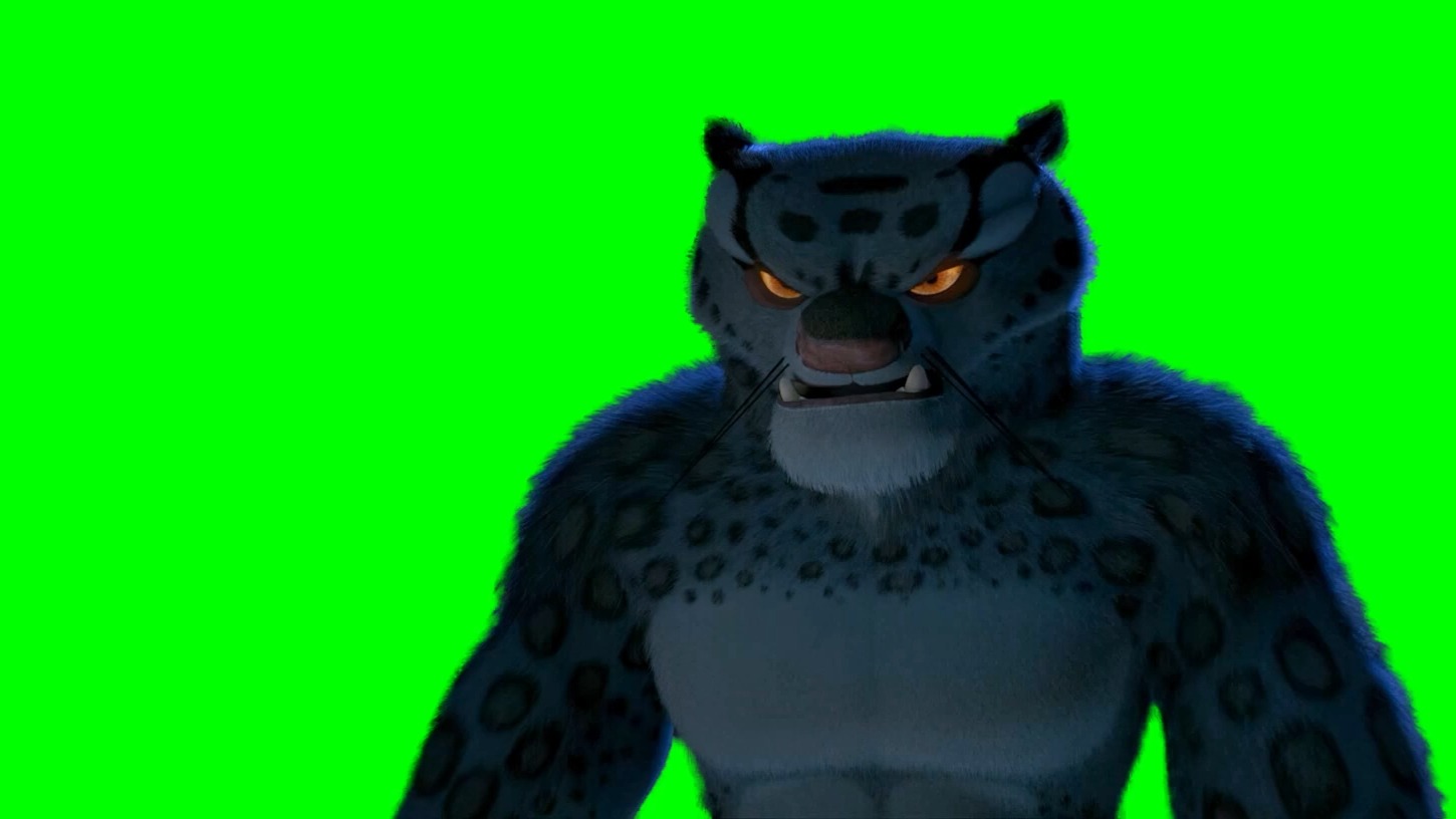 【绿幕素材】功夫熊猫 芝士雪豹 残豹打败浣熊师傅