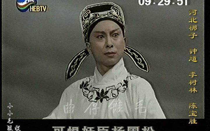 李树林(录音)陈宝胜(配像)河北梆子《钟馗》千里孤坟一片青 录像带采集哔哩哔哩bilibili