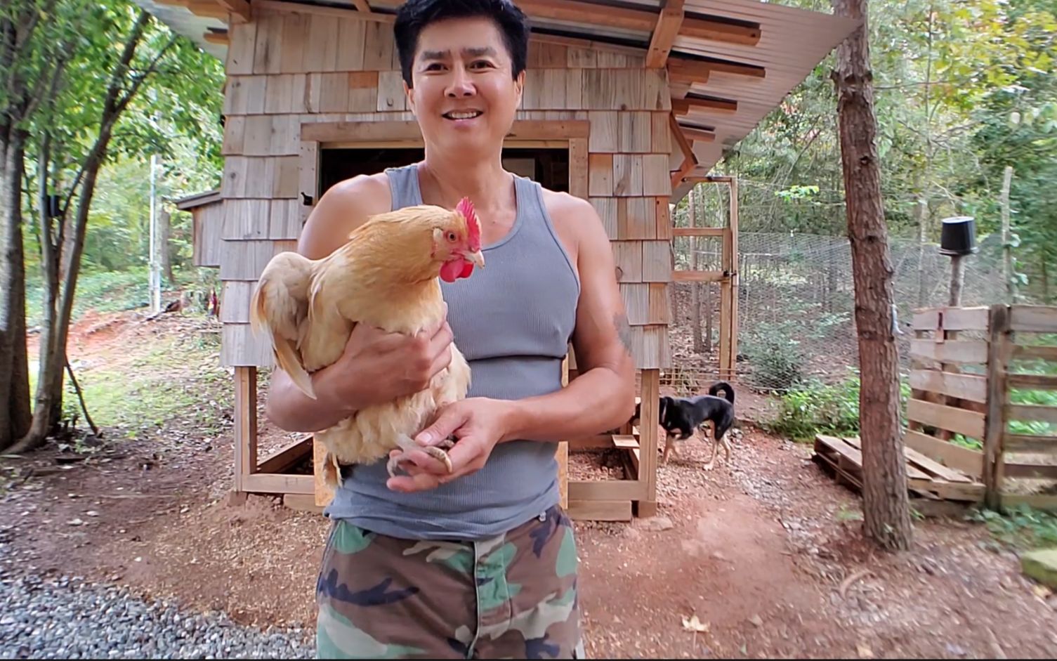 [图]我的农场生活vlog：整理一个鸡棚，欢迎来我家里农家乐 Van in chickencoop