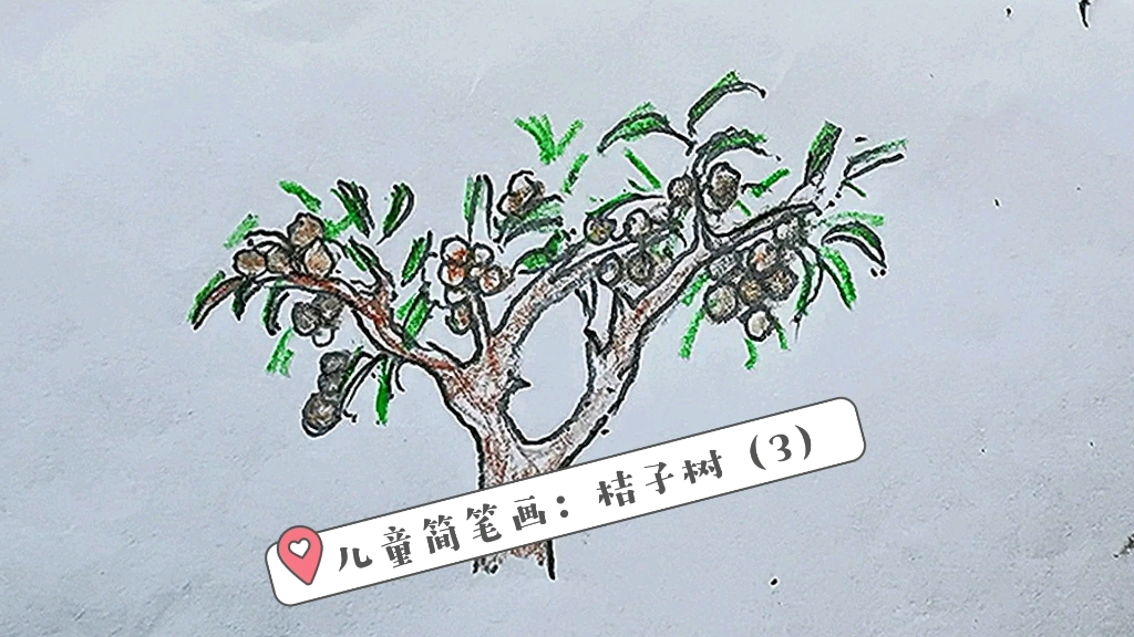 儿童简笔画:桔子树(3)