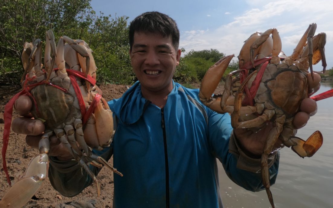 刀仔赶海图片