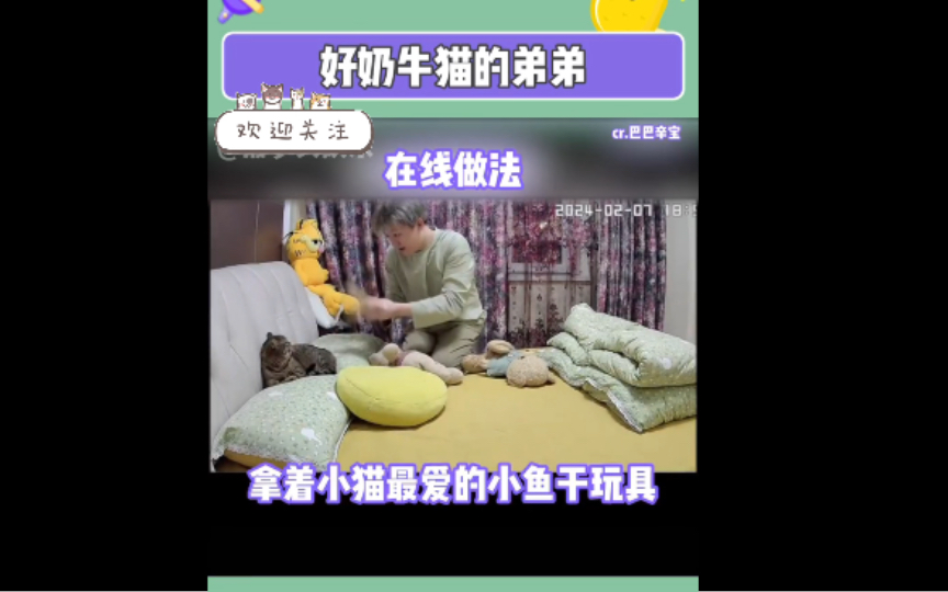 好奶牛猫的弟弟 看之前:再怎么样也不能挠人啊 看之后:怎么没挠死你呢!!哔哩哔哩bilibili