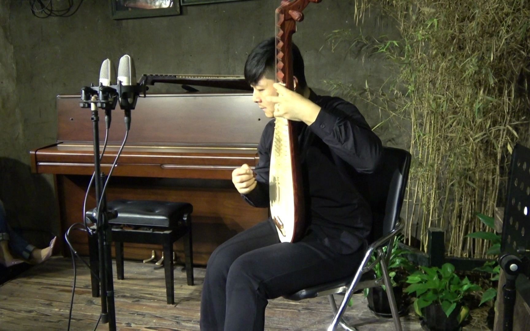 汤晓风【平沙落雁】"雨打芭蕉,停杯且听琵琶语"_哔哩哔哩_bilibili