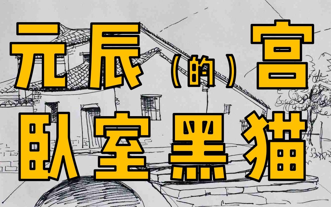 元辰宫,卧室的黑猫,杨飞鸿老师