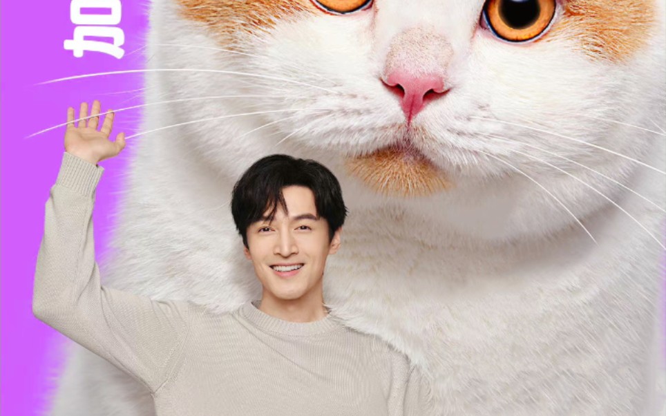 胡歌卫仕 胡猫猫和橘猫猫