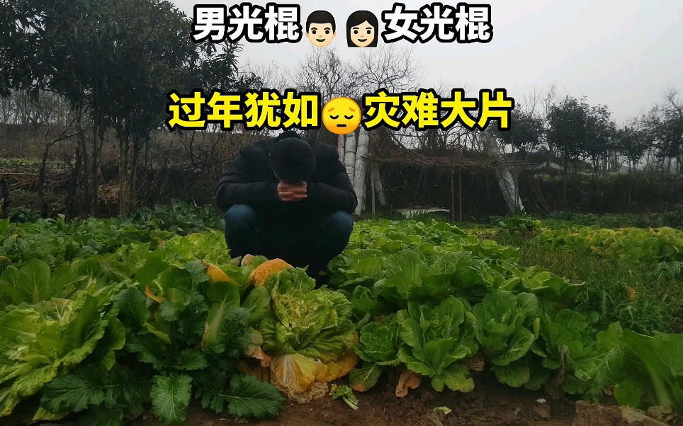 [图]光棍们过年，犹如过难一样的煎熬，每天都在上演着灾难大片的场景