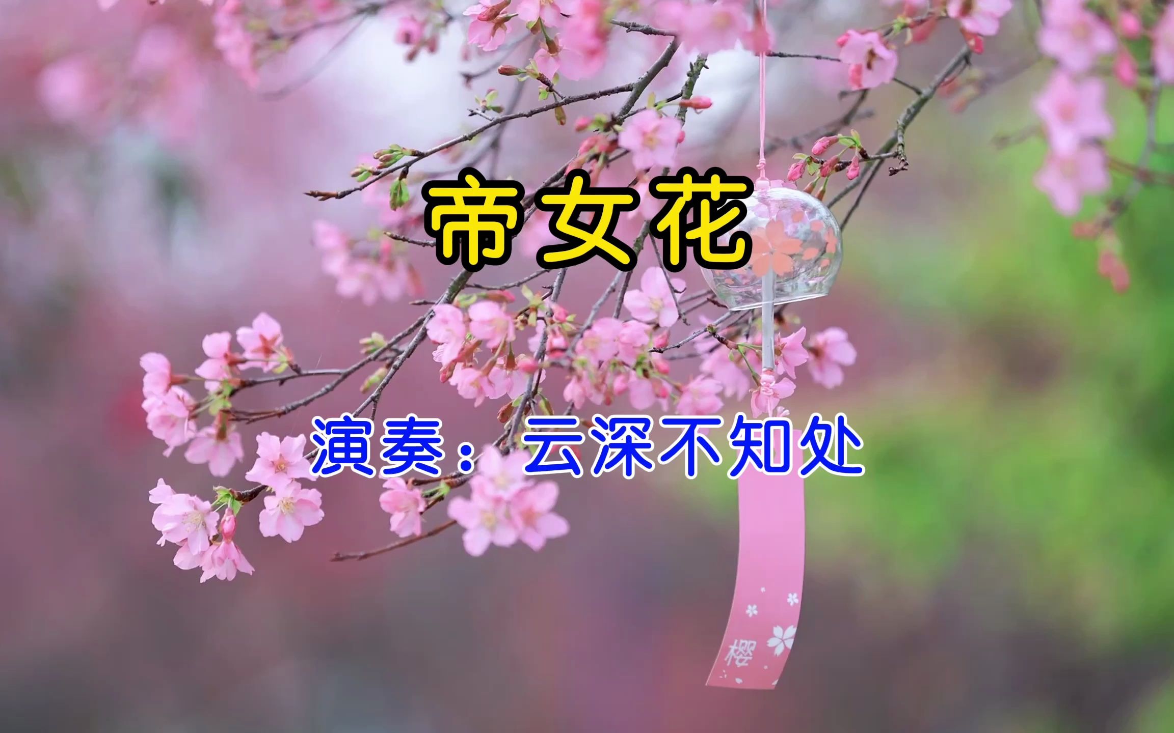 古筝曲《帝女花》,旋律悠扬悦耳,曲调醉人心扉,完美演绎悲凄之情!哔哩哔哩bilibili