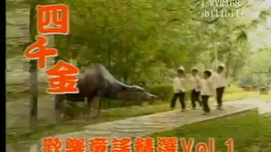 威扬娱乐-哔哩哔哩_Bilibili