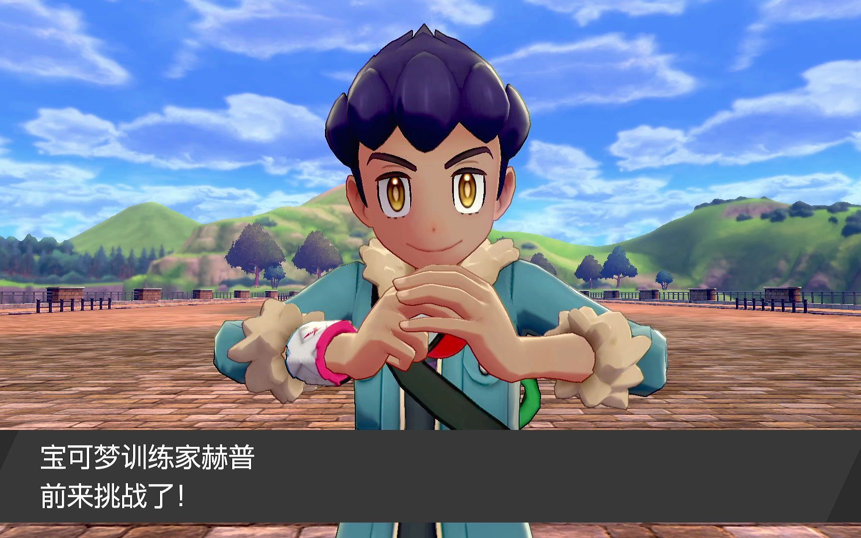 ns宝可梦剑盾盾非攻略型流程随缘通关流程十七