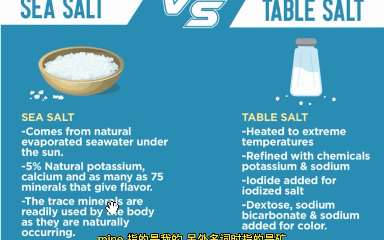 【词汇辨析85盐 salt】sea salt vs table salt 精盐英语词汇辨析 易错词汇 易混词辨析 中级英语 替换关系 雅思托福词汇哔哩哔哩bilibili