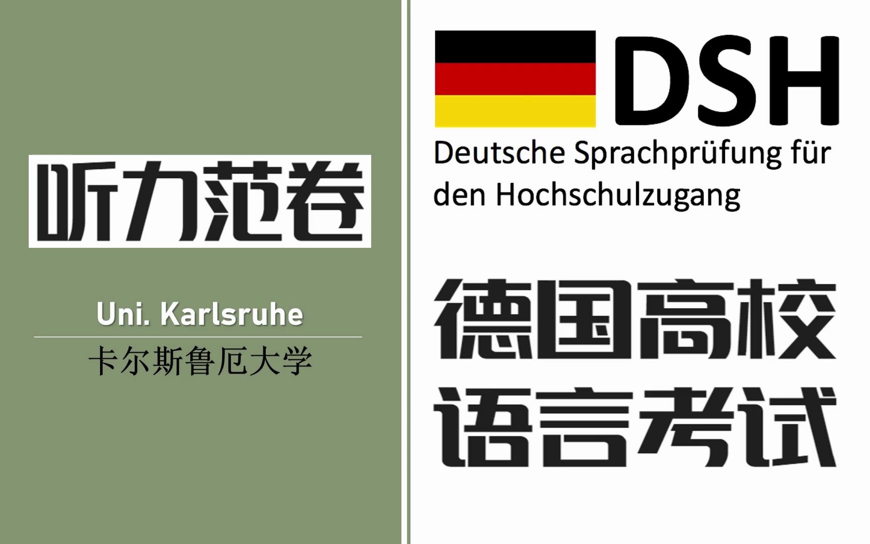 德国高校入学德语考试 ( DSH ) 之十二 // 卡尔斯鲁厄大学 ( Uni. Karlsruhe ) 听力范卷 // 转载哔哩哔哩bilibili