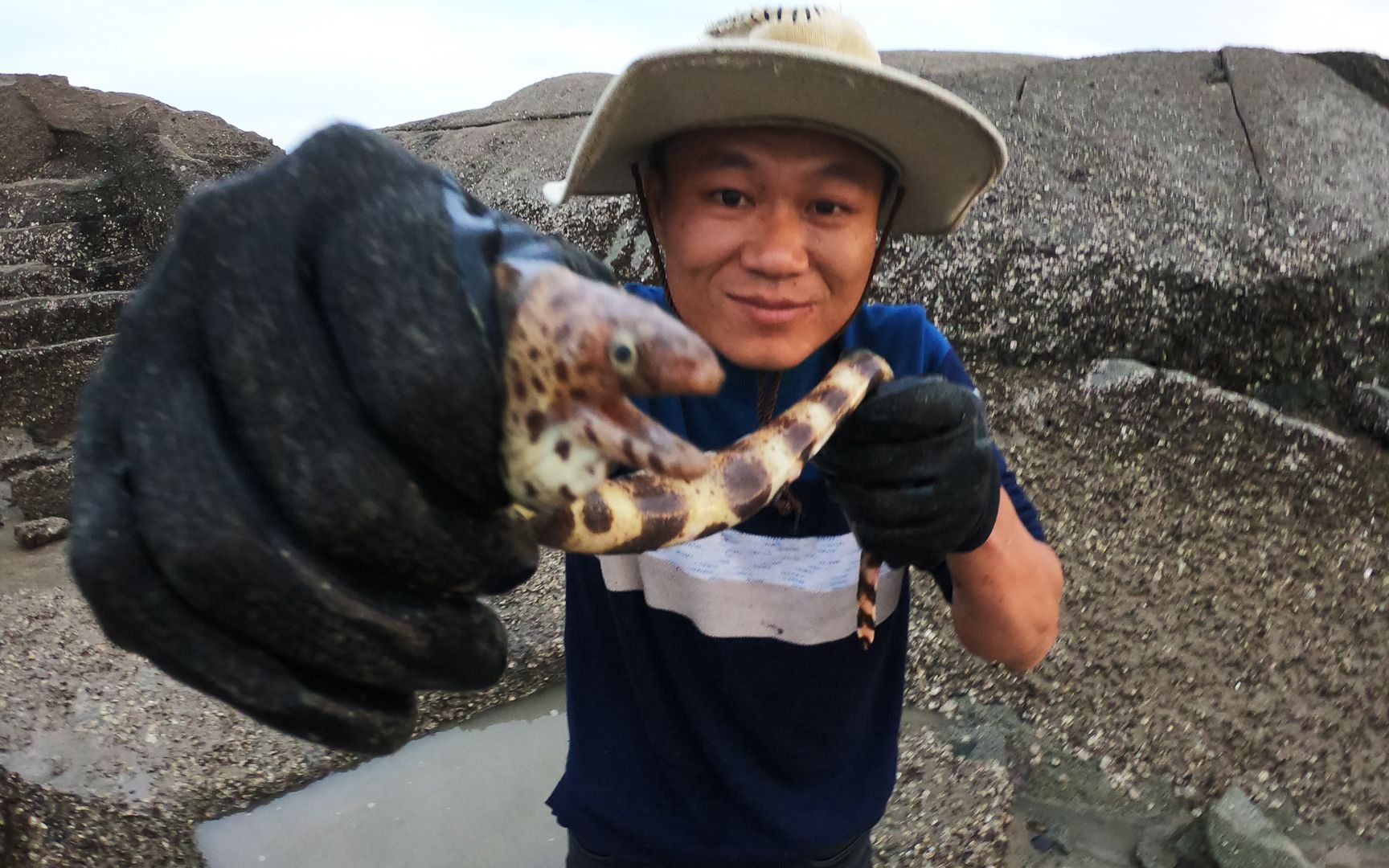 阿灶赶海运气不错,水坑里发现海货在产卵,还有两条凶猛毒货_哔哩哔哩