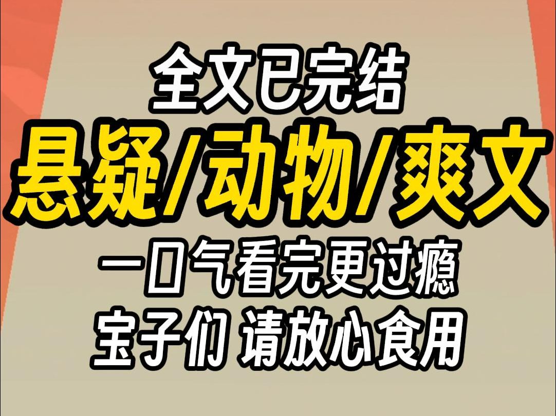 (已完结)悬疑动物爽文,一口气看完更过瘾哔哩哔哩bilibili