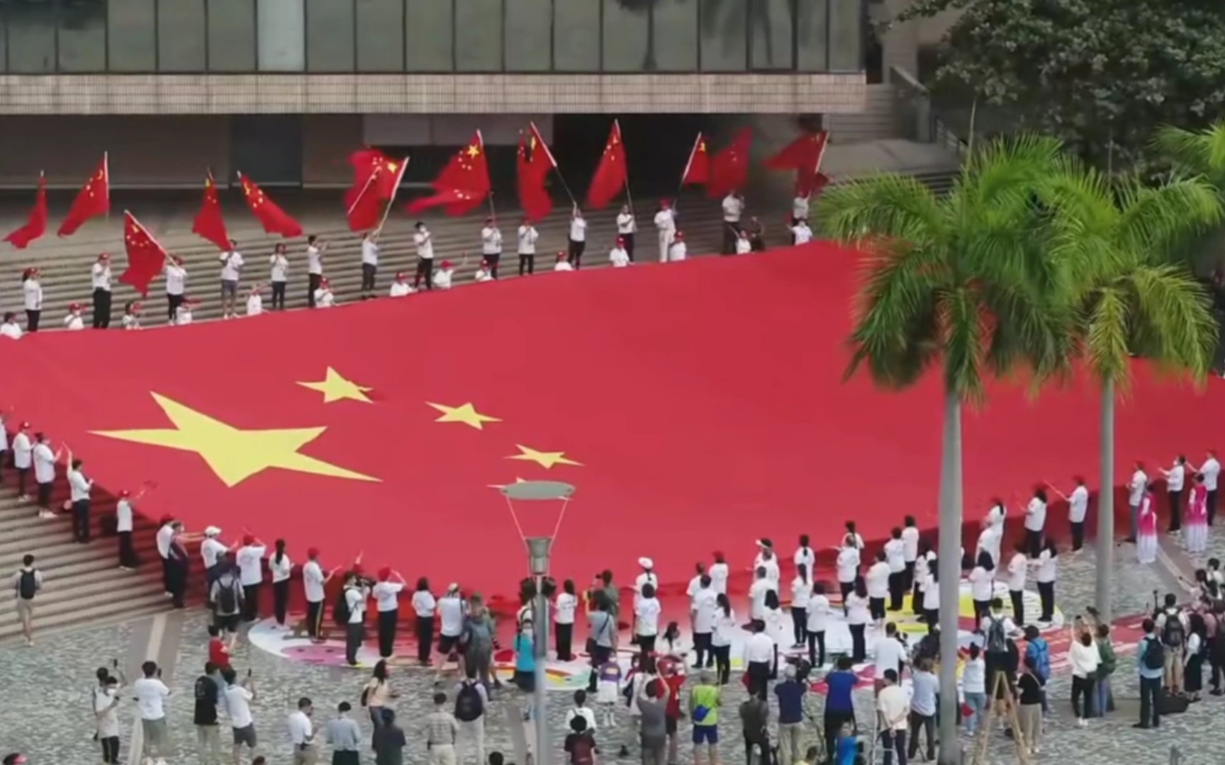 [图]“永远的紫荆花 要飞翔啊 纵有浪花。”  混剪｜紫荆花盛开