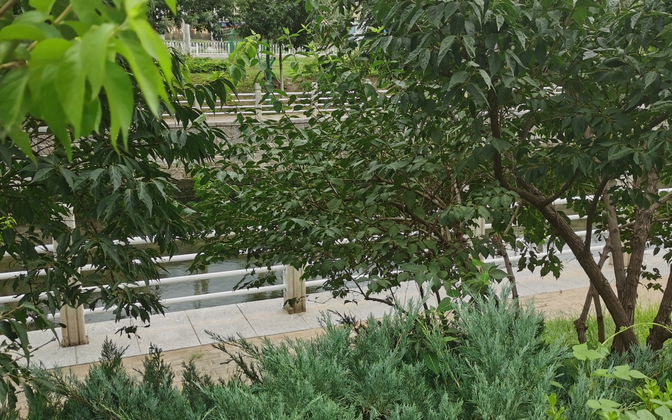 [图]我好羡慕风和雨，不像我“还得站这里”