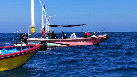 迎风破浪 冲向深蓝,广东惠州双月湾出风车塔海钓,收获满满