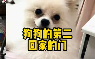 Download Video: 狗狗的第二个回家的门！#寻狗启示 #福州寻狗 #科学养宠攻略