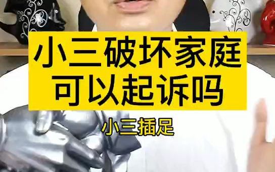 小三破坏家庭可以起诉吗哔哩哔哩bilibili