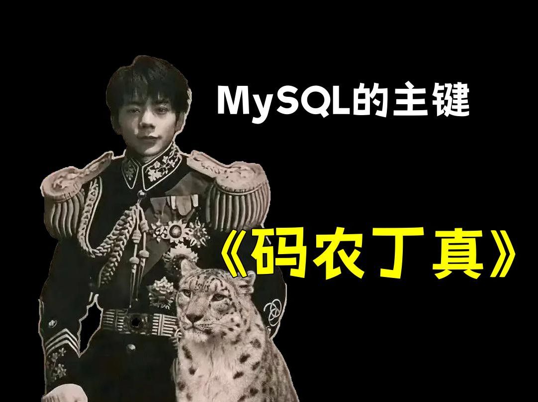 【码农丁真】MySQL的主键哔哩哔哩bilibili