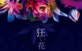 白爪草 哔哩哔哩 Bilibili