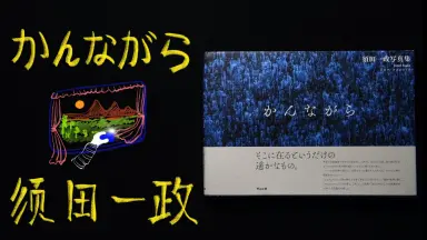 须田鱼-哔哩哔哩_Bilibili