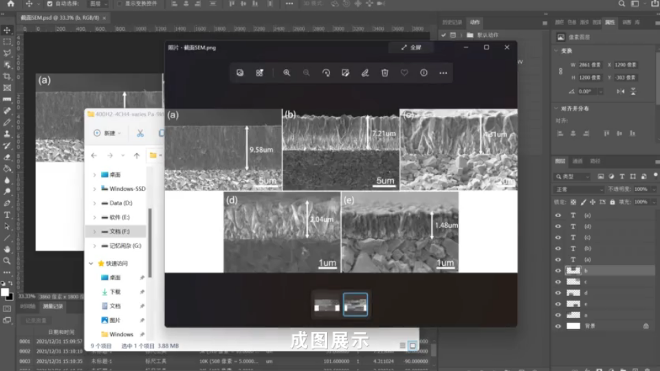 PS绘图2.0SEM截面组图、厚度测量及标尺制作,SCI必备哔哩哔哩bilibili