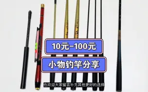 Tải video: 从10元到100元，入门小物钓竿分享