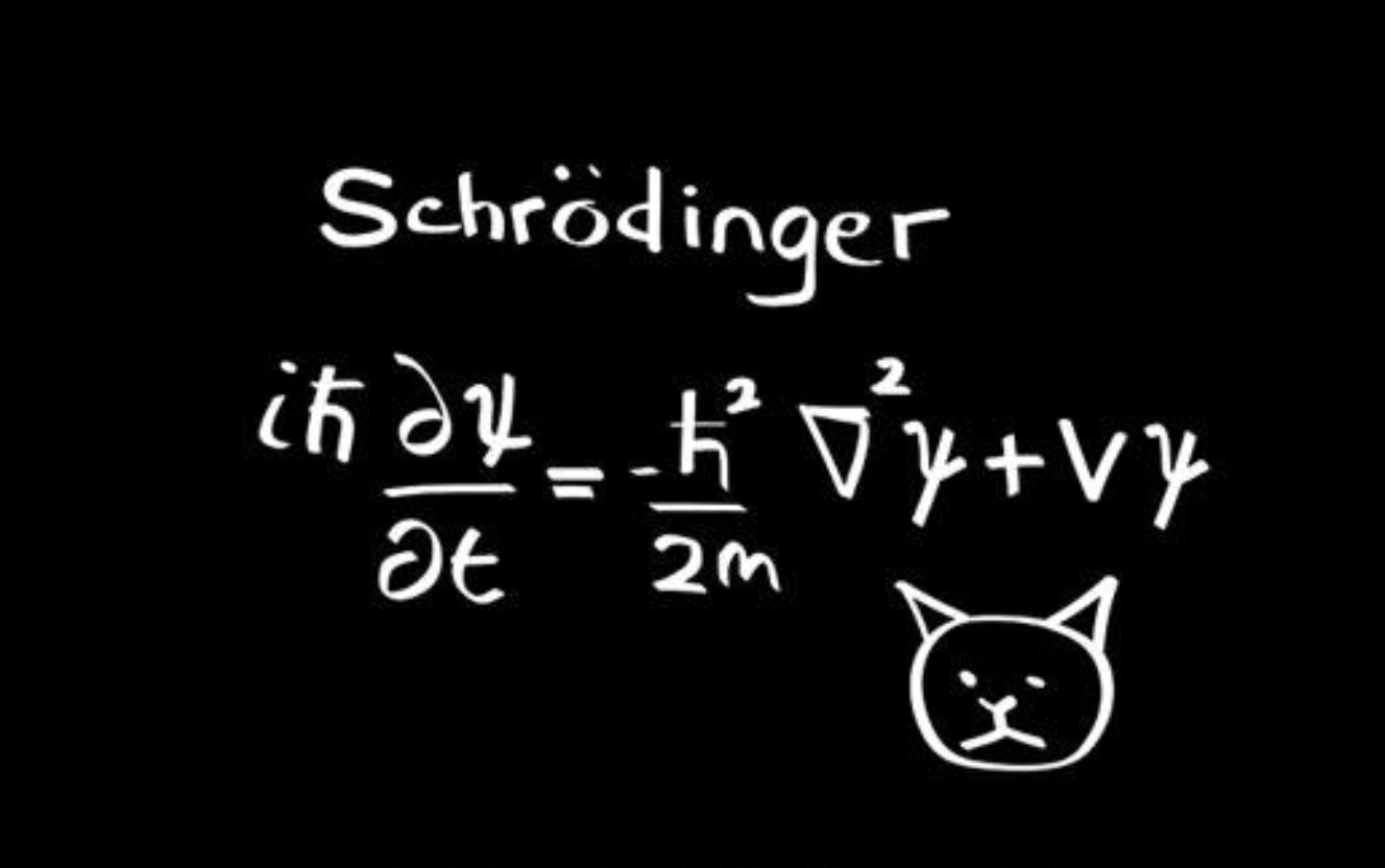 薛定谔方程表白公式图图片