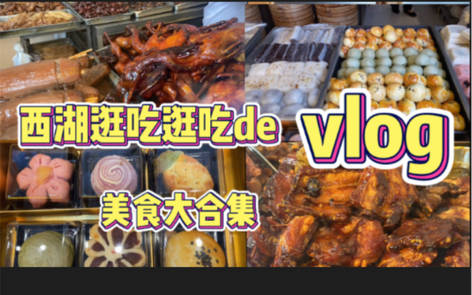 6小时西湖逛吃逛吃vlog南方大包/知味观/吴山烤鸡/南宋胡记/九芝斋都在中心C位300米内哔哩哔哩bilibili