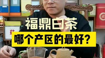 福鼎白茶的哪个山头的好?哔哩哔哩bilibili