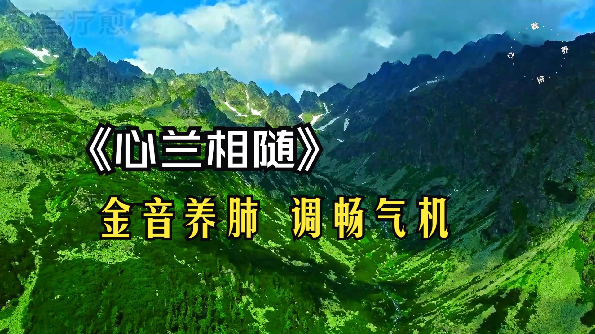 金音养肺 调畅气机 天籁之音 空灵唯美陶醉《心兰相随》钢琴