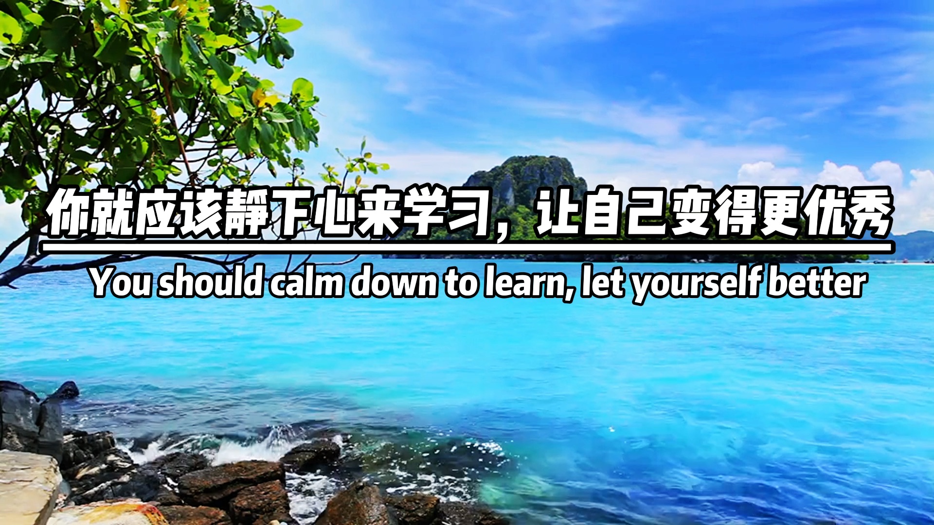 静下来心来努力学习,一定会有收获[赞,加油吧[愉快]