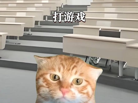 你班里的同学哔哩哔哩bilibili