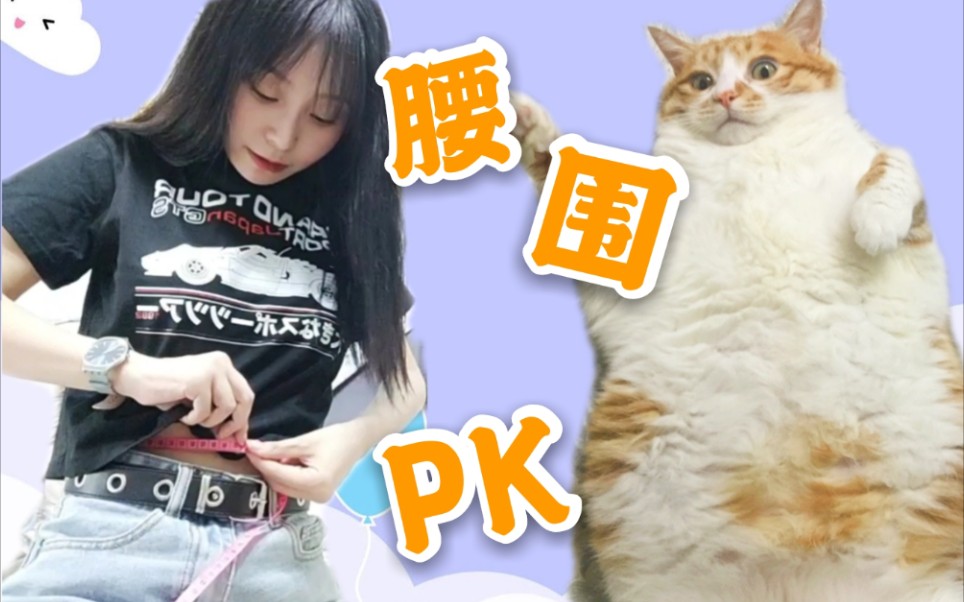 胖妞和猫咪比腰围猫咪竟然胖的比人还