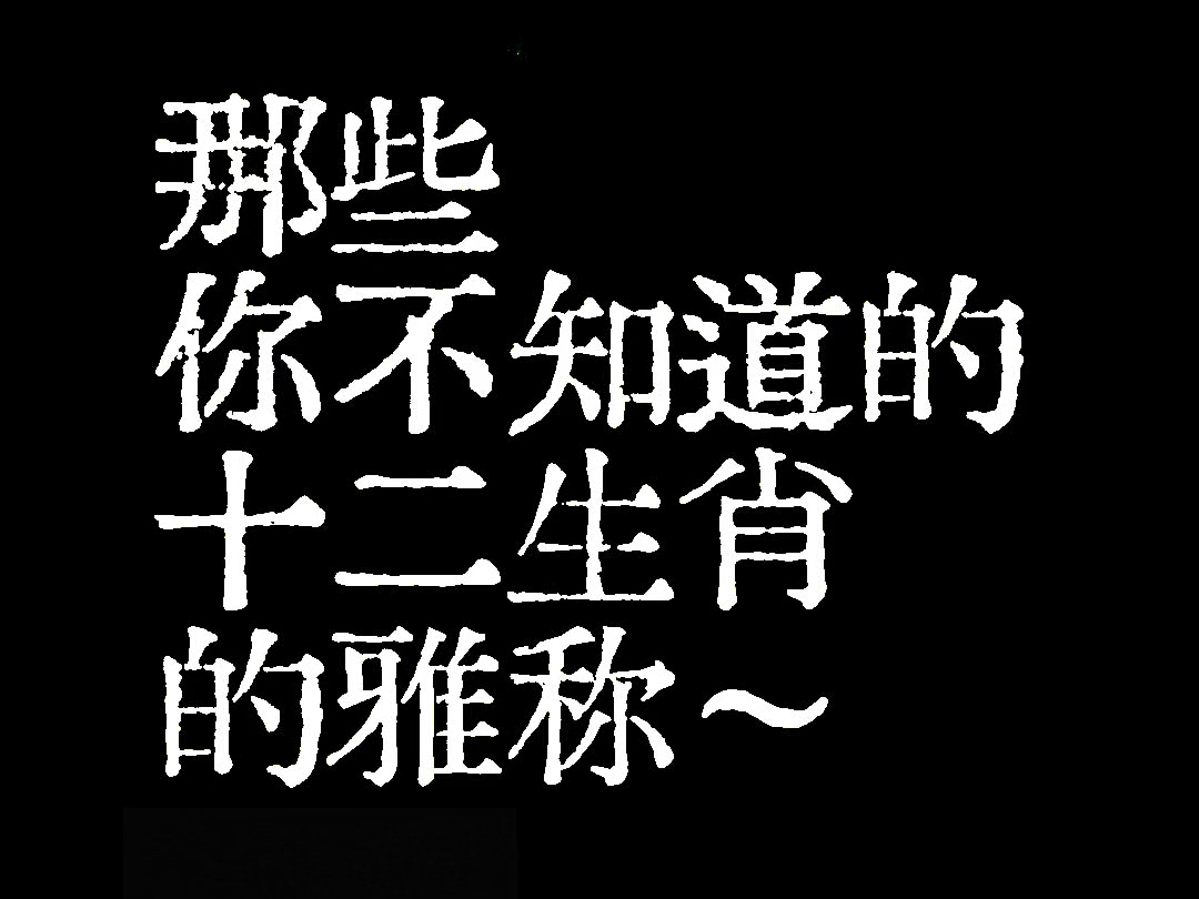 “那些你不知道的十二生肖雅称”哔哩哔哩bilibili