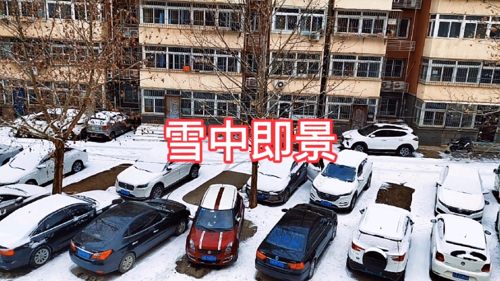 [图]北京的雪，雪中即景