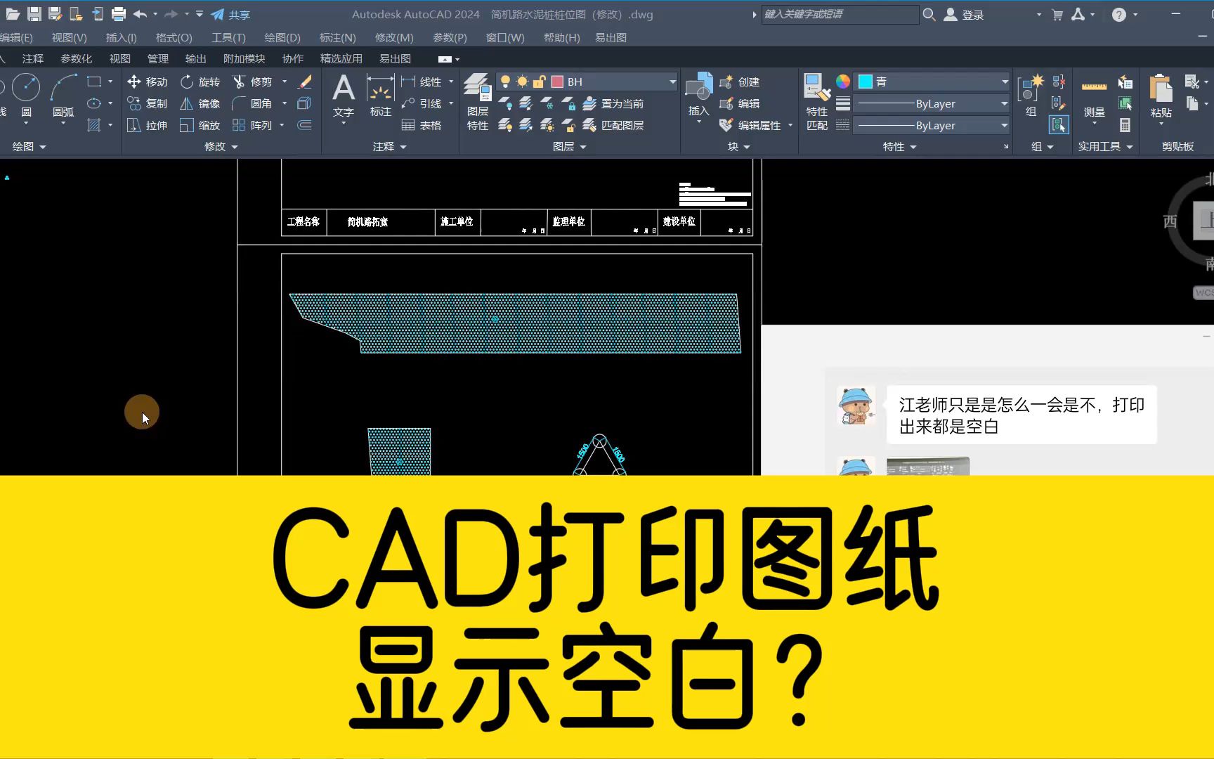 用CAD打印图纸,显示空白?把这个开关打开就行啦!哔哩哔哩bilibili