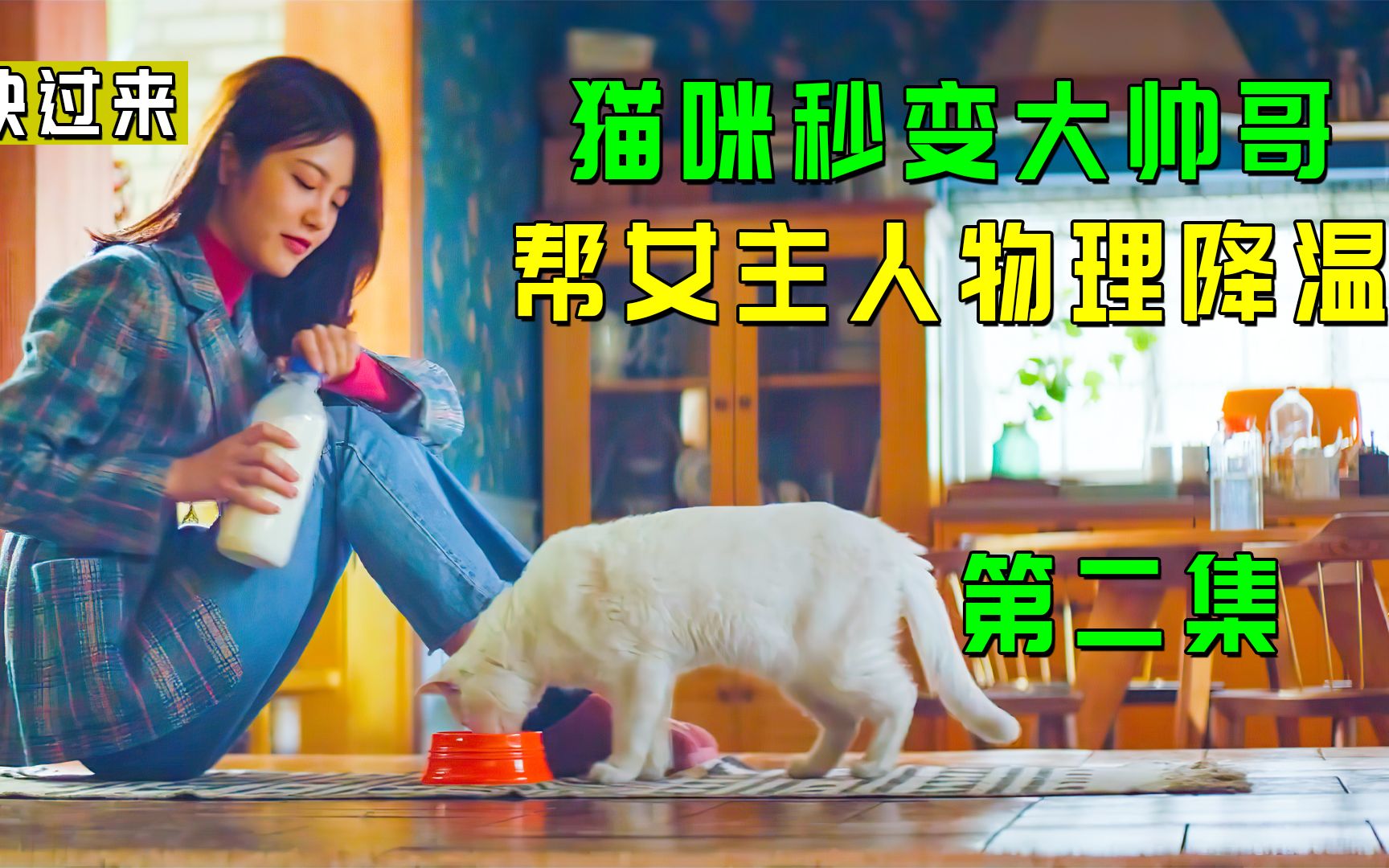 [图]猫咪秒变大帅哥，帮女主人物理降温，韩剧《快过来》