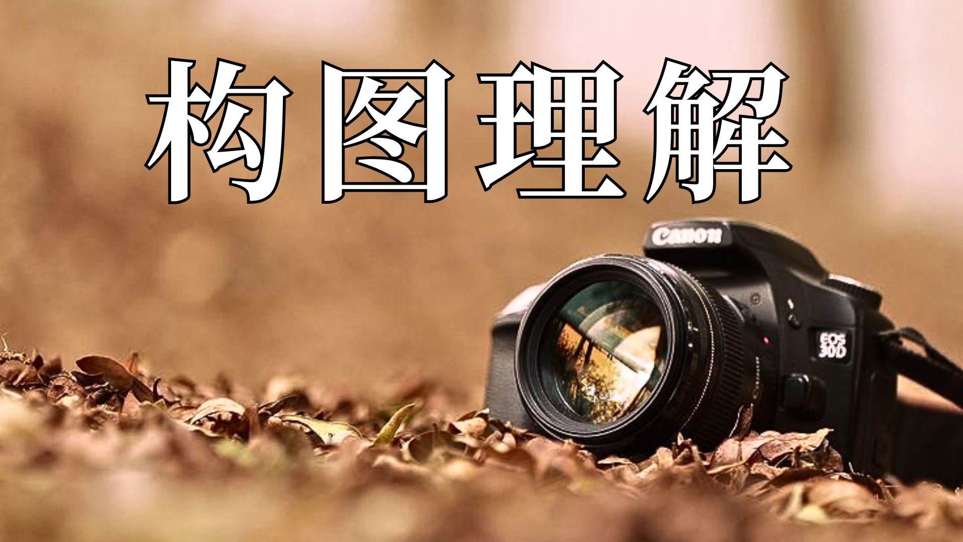 摄影拍摄大师视频教程下载，技巧大全