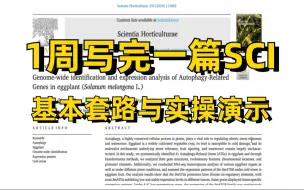 Descargar video: 强推！导师放养SCI论文发到手软!研究生手把手带你亲历SCI论文，从基本套路讲解和手把手实操演示【SCI论文写作】（人工智能/计算机视觉）