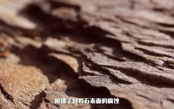 3.8.1什么是土壤?哔哩哔哩bilibili