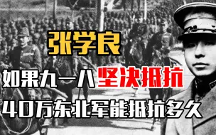 下载视频: 九一八如果张学良坚决抵抗，40万东北军能抵抗多久，结局能否改变