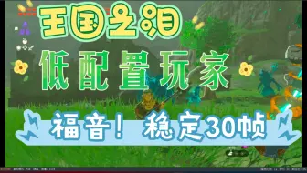 【塞尔达传说:王国之泪】低配玩家福音！稳定帧数